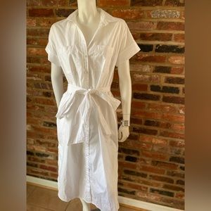 Relaxed Fit J. Crew Cotton Poplin Shirtdress
